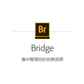 Bridge CC