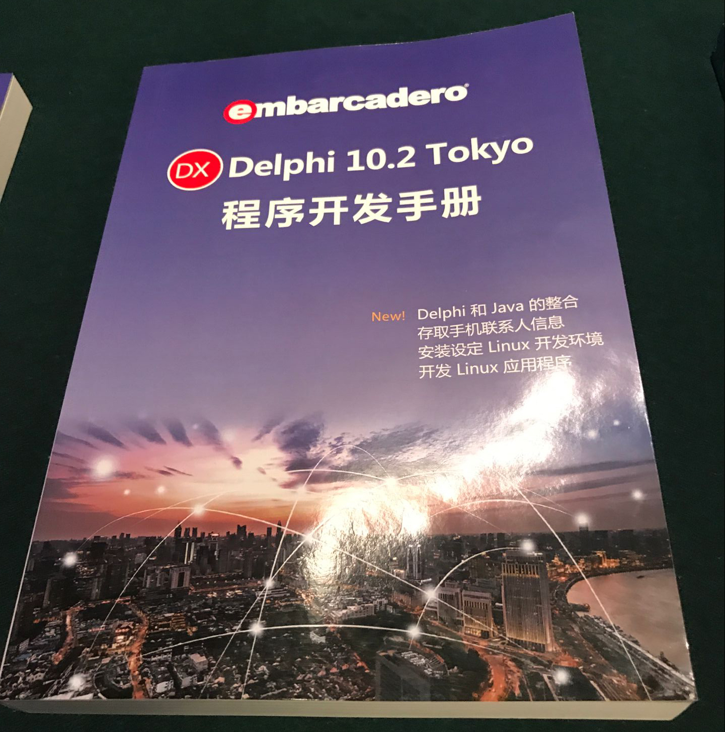 李维大师delphi 10.2开发教材全套书